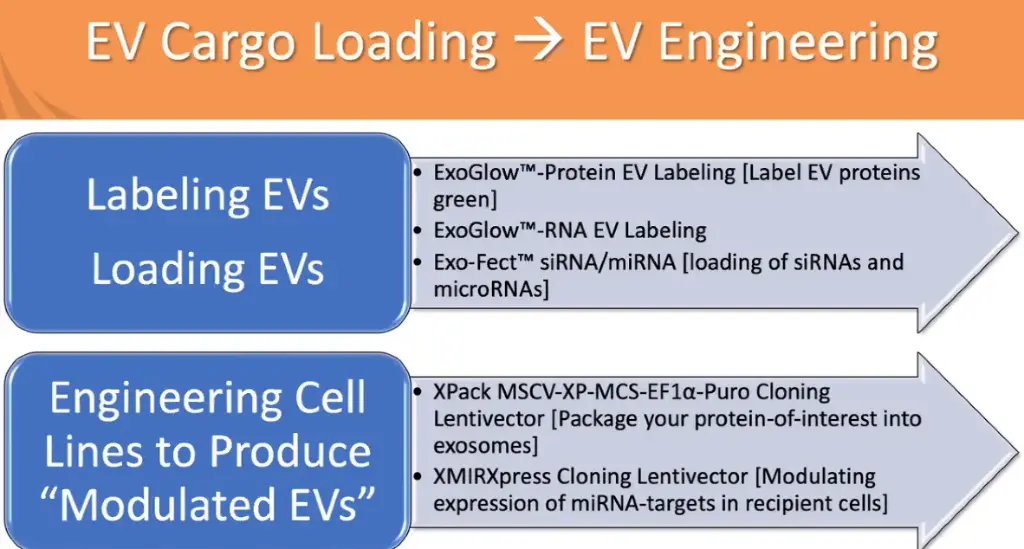 [ XPAK710PA-1] XPack MSCV-XP-MCS-EF1-Puro Cloning Lentivector   