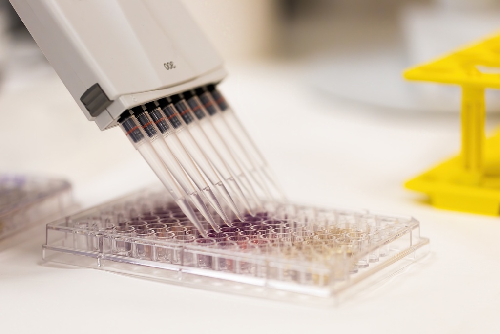 384-well NX PCR Plate, Yellow 50 plates